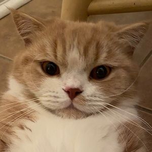 Meet your Posher, Jillian